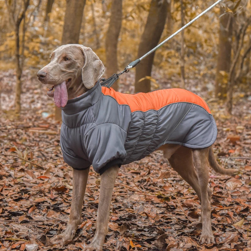 Waterproof Winter Fleece-Lined Jacket for Small and Medium Dogs