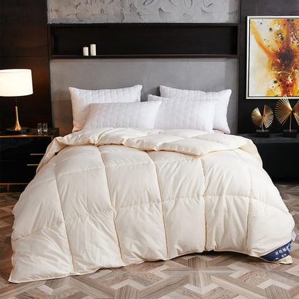 Down Duvet, Winter Duvet, Goose Down Duvet Core, Air Conditioner - Wnkrs