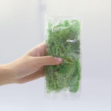 Artificial Eternal Life Moss - Wnkrs