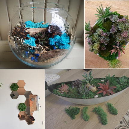 Artificial Eternal Life Moss - Wnkrs