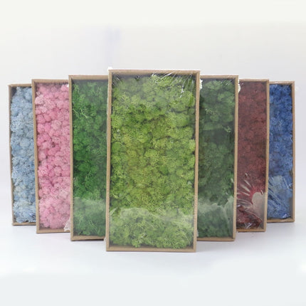 Artificial Eternal Life Moss - Wnkrs