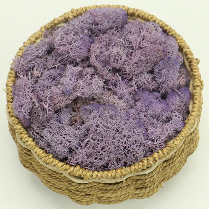 Artificial Eternal Life Moss - Wnkrs