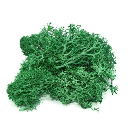 Artificial Garden Moss for Decor - Wnkrs
