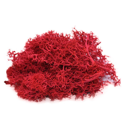 Artificial Garden Moss for Decor - Wnkrs