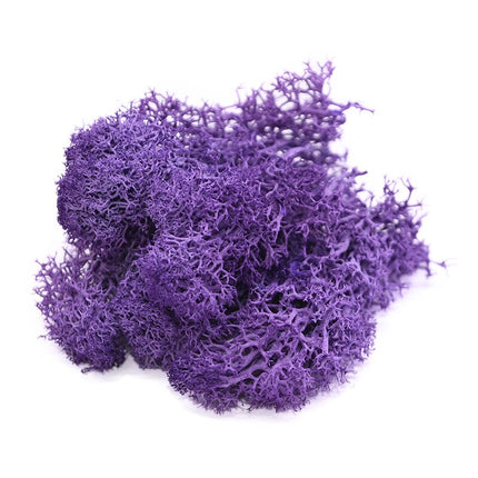 Artificial Garden Moss for Decor - Wnkrs