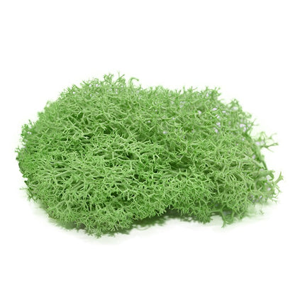 Artificial Garden Moss for Decor - Wnkrs