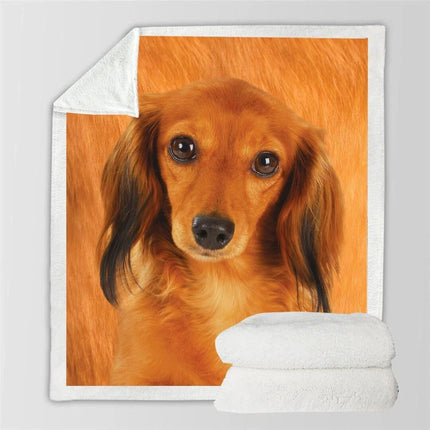 3d Double-sided Flannel Blanket Siesta Air Conditioning Blanket - Wnkrs