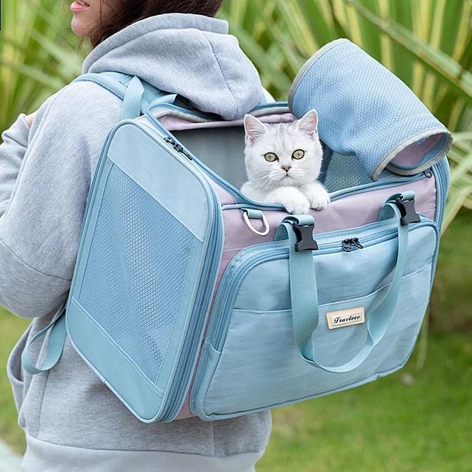 Foldable 420D Polyester Pet Carrier with Mesh Panels