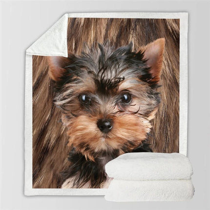 3d Double-sided Flannel Blanket Siesta Blanket Air Conditioning Blanket - Wnkrs