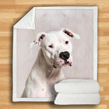 3d Double-sided Flannel Blanket Siesta Air Conditioning Blanket - Wnkrs