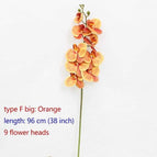 type F big Orange