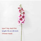type F big Dark Pink