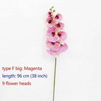 type F big Magenta