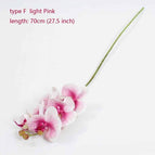 type F light Pink