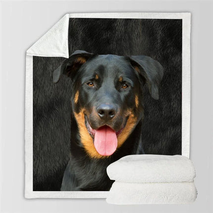 3d Double-sided Flannel Blanket Siesta Air Conditioning Blanket - Wnkrs