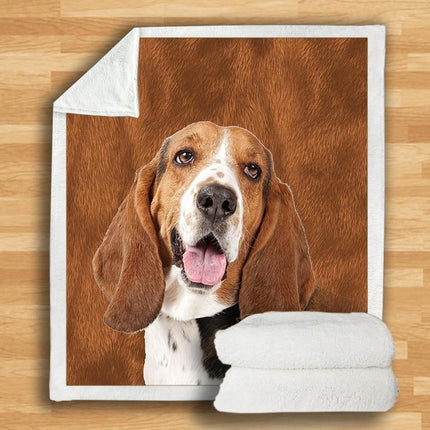 3d Double-sided Flannel Blanket Siesta Air Conditioning Blanket - Wnkrs