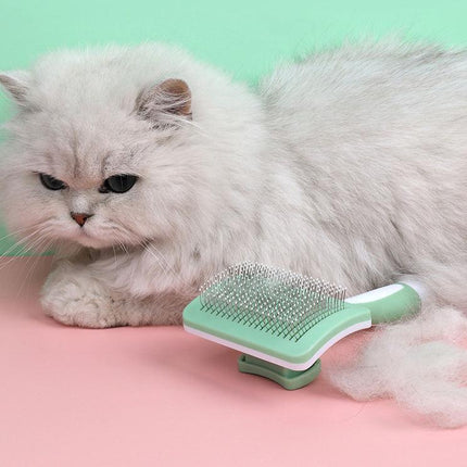Brosse autonettoyante pour chat et poils d'animaux : un indispensable pour le toilettage des animaux de compagnie heureux