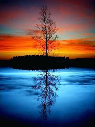 Canvas Painting By Numbers - Wnkrs