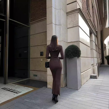 Pull tricoté à col roulé moulant de style européen, américain et français élégant à rayures