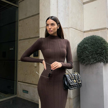 Pull tricoté à col roulé moulant de style européen, américain et français élégant à rayures