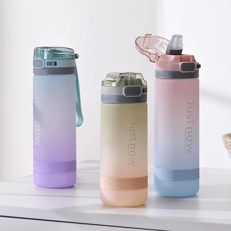 Portable Straw Bottle in 500 or 600 ml
