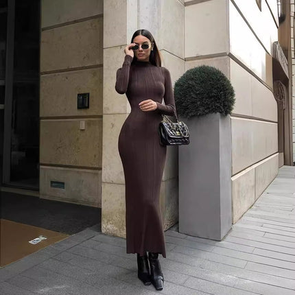 Pull tricoté à col roulé moulant de style européen, américain et français élégant à rayures