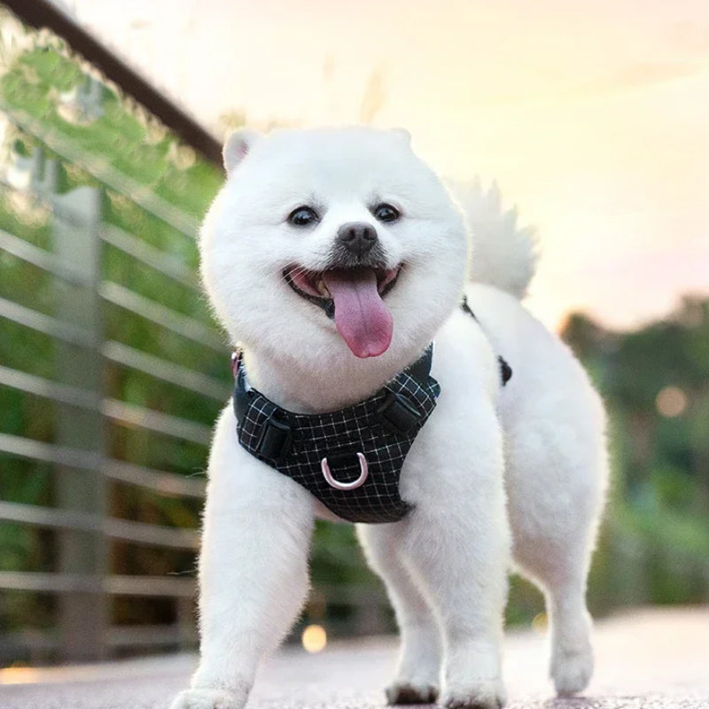 Adjustable Pet Harness with 19 LED Modes