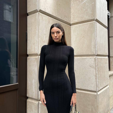 Pull tricoté à col roulé moulant de style européen, américain et français élégant à rayures