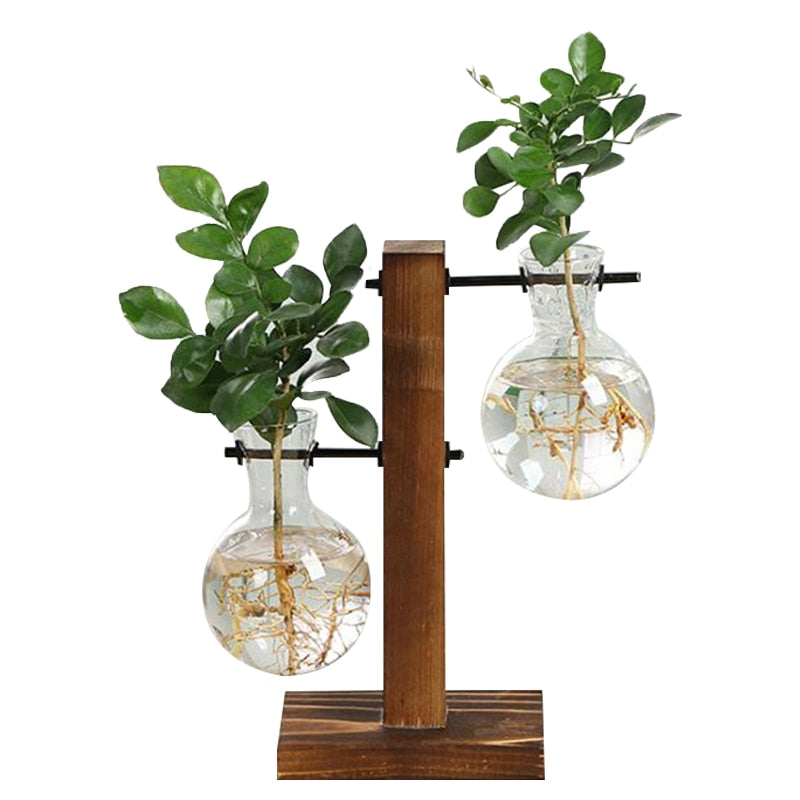 Terrarium Hydroponic Plant Vase with Stand