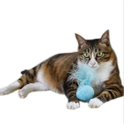 Cat's Teaser Ball with Sound Effects - wnkrs