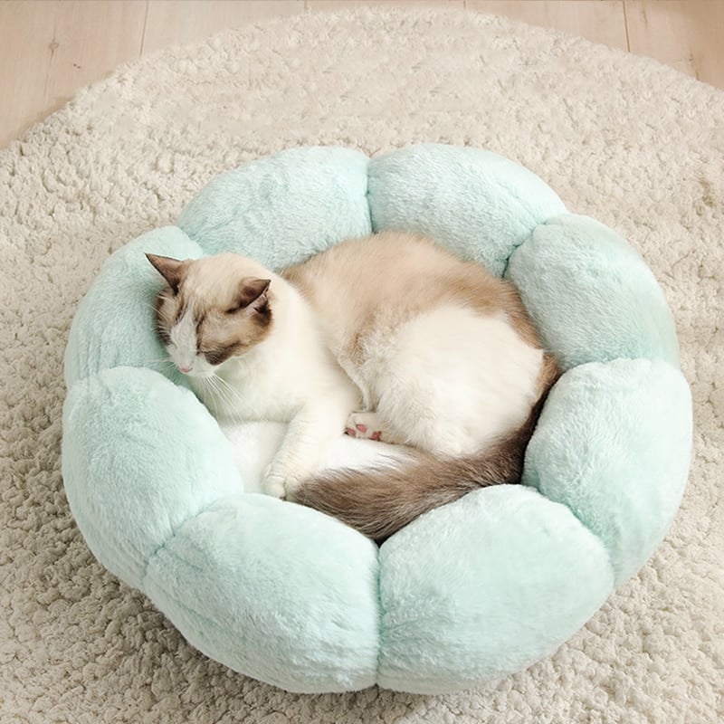 Flower Shaped Cats Bed