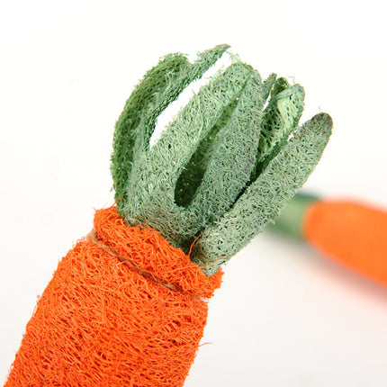 Chew Carrot Shaped Toy - wnkrs