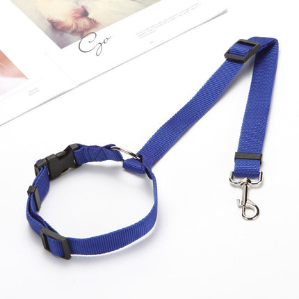 Pet Seat Belt Leash - wnkrs