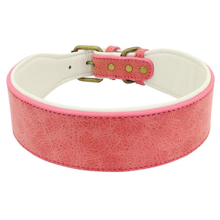 Soft Padded Wide Leather Dog Collar - wnkrs