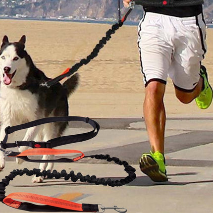 Elastic Dog's Leash with Waist Rope - wnkrs