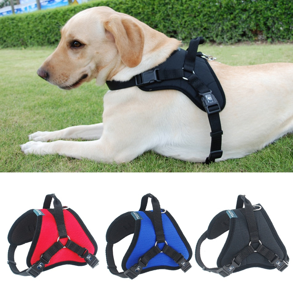Dog's Padded Harness