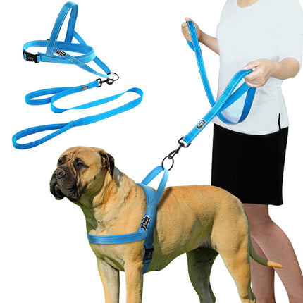 Convenient Basic Nylon Dog's Harness with Leash - wnkrs