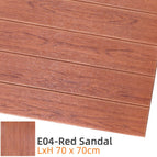e04-red-sandal