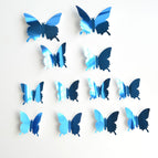 blue-butterfly