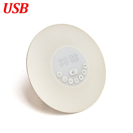 Luminous Digital Alarm Clocks with FM Radio - wnkrs
