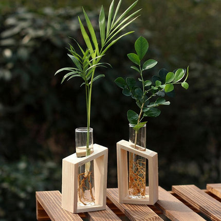 Test Tube in Wooden Stand Flower Pot - wnkrs