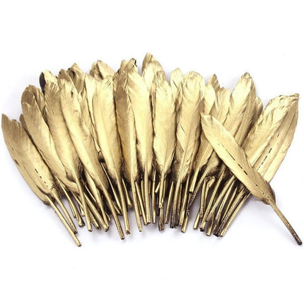 Set of Natural Colorful Feathers for Decor - wnkrs