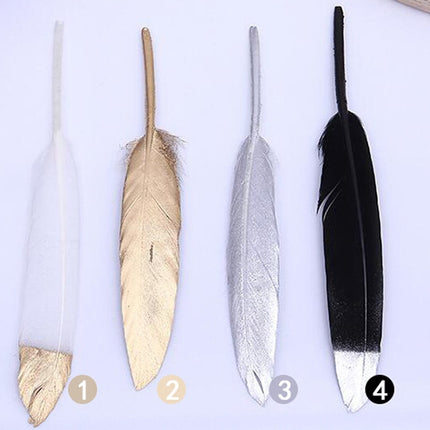 Set of Natural Colorful Feathers for Decor - wnkrs