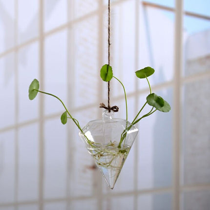 Vertical Hanging Glass Flower Pot - wnkrs