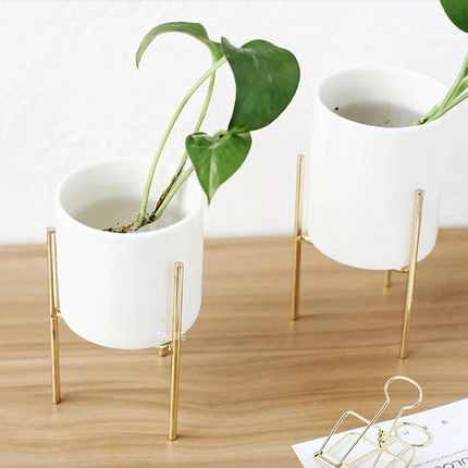 Nordic Style Ceramic Plants Vase - wnkrs