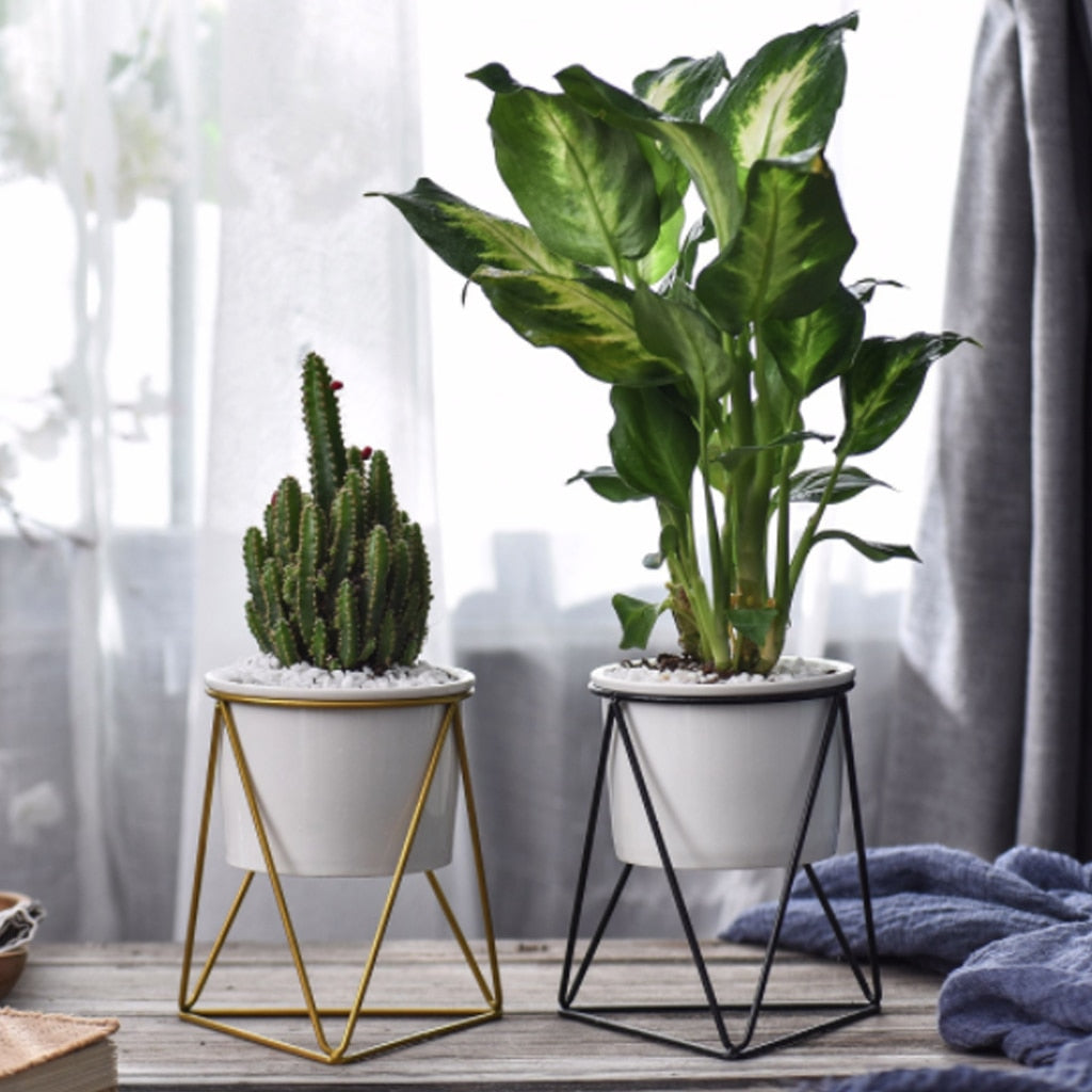 Geometric Design Plant Pot