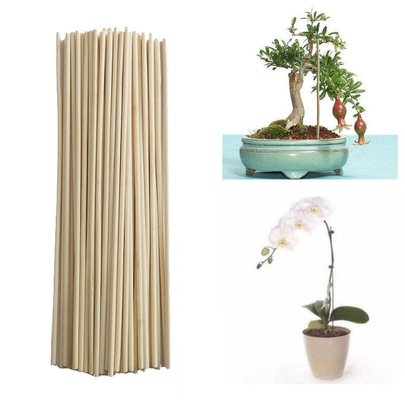 50 Wooden Plant Grow Sticks