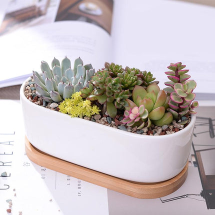 Bamboo and Ceramic Minimalist White Plant Pot - wnkrs