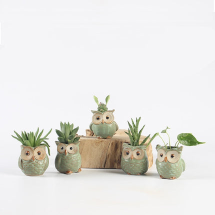 Lovely Decorative Owl Shaped Ceramic Flower Pots Set - wnkrs