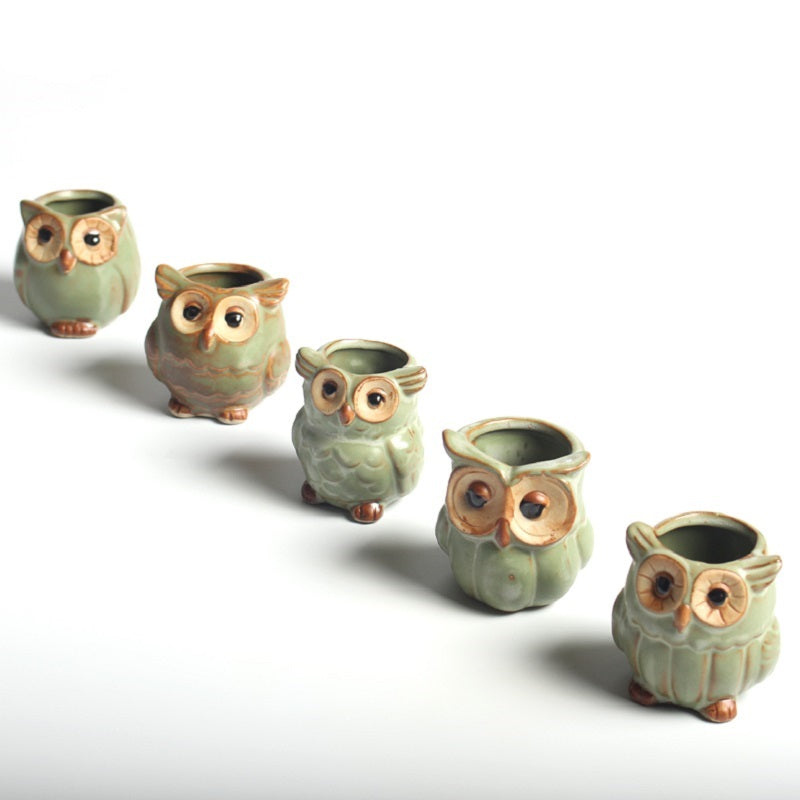 Lovely Decorative Owl Shaped Ceramic Flower Pots Set